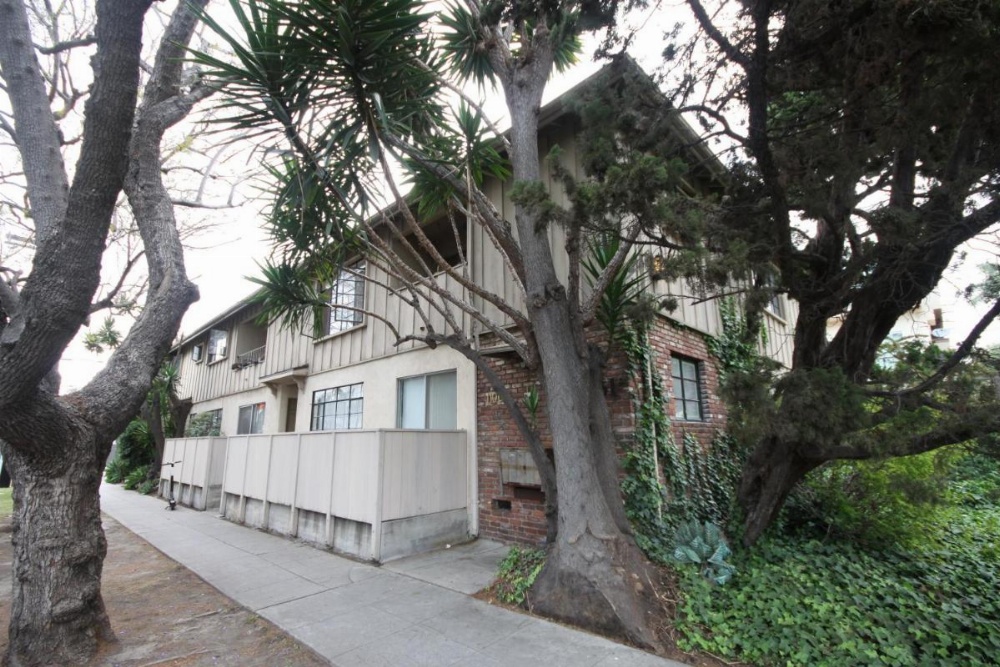 Clean, Kind and Peaceful